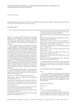 VACCARO, E. 2002, Area 300