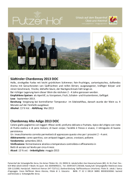 Südtiroler Chardonnay 2013 DOC Chardonnay Alto