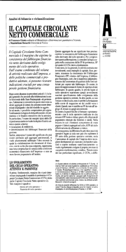 IL CAPITALE CIRCOLANTE NETTO COMMERCIALE