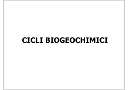 CICLI BIOGEOCHIMICI