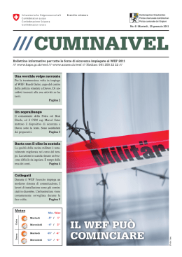 CUMINAIVEL No. 6, 25 gennaio 2011