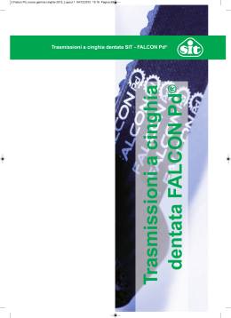 Catalogo trasmissione a cinghia dentata FALCON Pd® (IT)