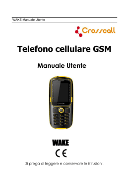 Telefono cellulare GSM
