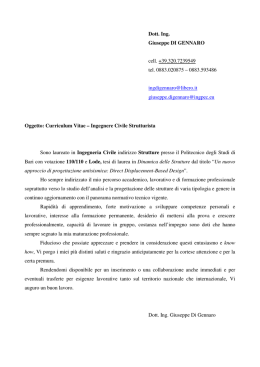Curriculum Vitae Ingegnere Strutturista