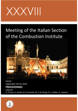 proceedings - abstract book, isbn 978-88-88104-25-6