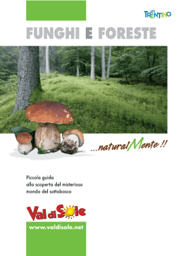 scarica la brochure - Comunit&agrave; Valle di Sole