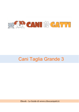 LE PIANTE AROMATICHE