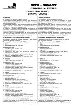 Scarica il file in versione PDF