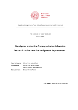Biopolymer production from agro‐industrial wastes