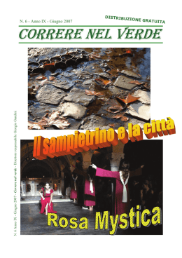 N. 6 - Anno IX - Giugno 2007