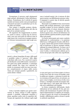 Scarica il pdf - Acquario di Genova