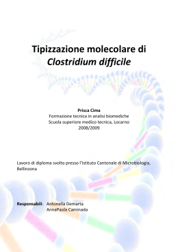 Tipizzazione molecolare di Clostridium difficile Prisca Cima