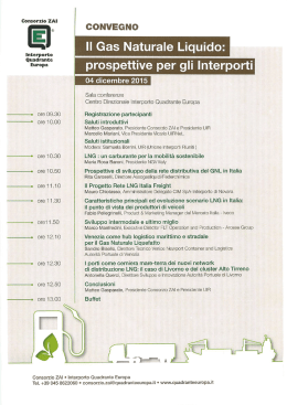 il Programma