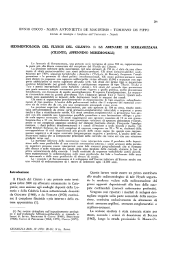 Sedimentologia del flysch del Cilento. 1