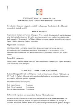 verb Bando n&deg;30_2015 BR - Dipartimenti