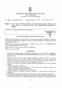 determina dirigenziale 151 del 2015