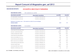 report codmag gen_set 2013
