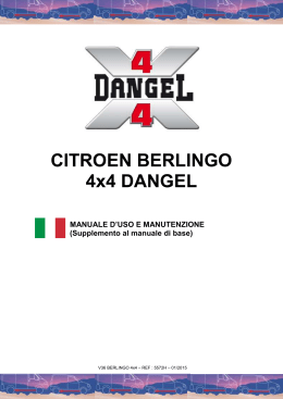 CITROEN BERLINGO 4x4 DANGEL