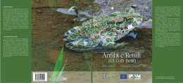 LIBRO PDF - &ldquo;Anfibi e Rettili dei Colli Berici&rdquo;