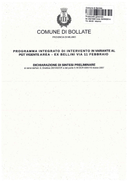 Dichiarazione di Sintesi preliminare