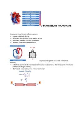 Ipertensione polmonare (dott. Mul&egrave;)