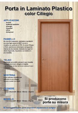 Porta in Laminato Plas