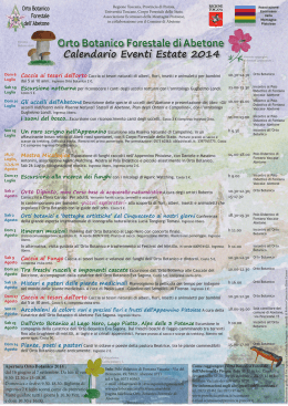 locandina eventi obfa2014