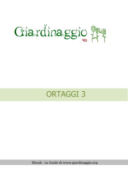 scarica subito il nostro ebook : Ortaggi 3