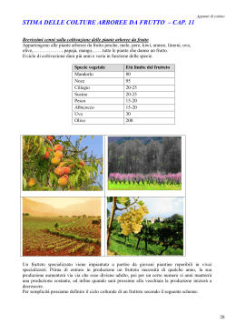 stima delle colture arboree da frutto – cap. 11