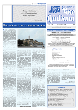 n. 293 - 1 dicembre 2013