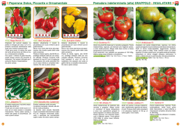 Catalogo Professionale Four 4 (pomodoro_zuchino)
