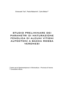 Scarica il documento - Provincia di Verona