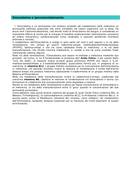 Omocisteina e iperomocisteinemia