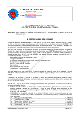 COMUNE DI CARISOLO (TN)