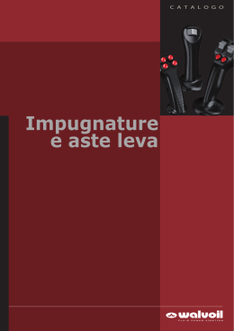 Impugnature e aste leva