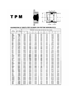 GUAFINIZIONI DI TENUTA PER CILIND FII CON PISTONE
