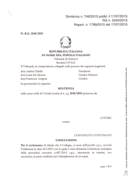 tribunalemantova2015_746 pdf