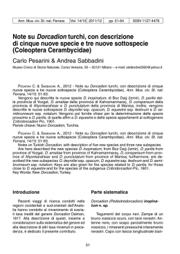Note su Dorcadion turchi, con descrizione di cinque nuove specie e