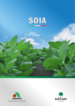 Sementi di soia