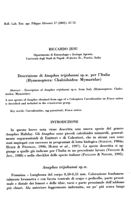 Descrizione di Anaphes trijohanni sp.n. per l`Italia