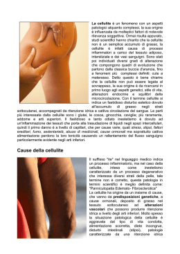 INFORMAZIONI SULLA CELLULITE: CLICCA QUI (documento PDF)