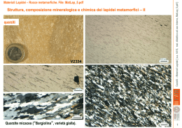 V2334 Quarzite micacea - Corso di studi di Conservazione e