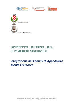 distretto diffuso del commercio visconteo