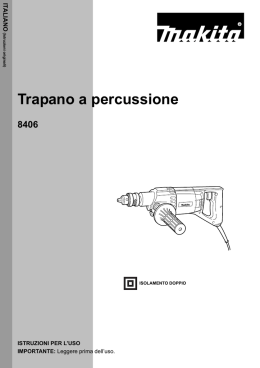 Trapano a percussione