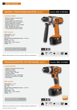 TRAPANO A PERCUSSIONE/AWITATORE 14.4 V Modello