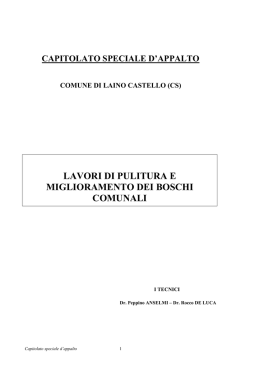 lavori di pulitura e miglioramento dei boschi comunali