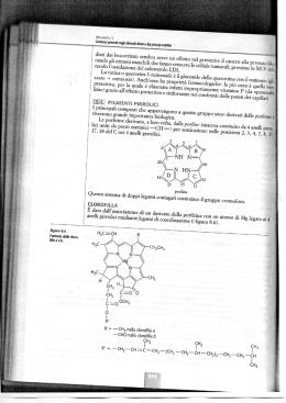 pagina - Formazione e Sicurezza