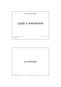 B04. Lipidi e membrane