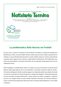 Notiziario Tecnico - Fondazione Fojanini
