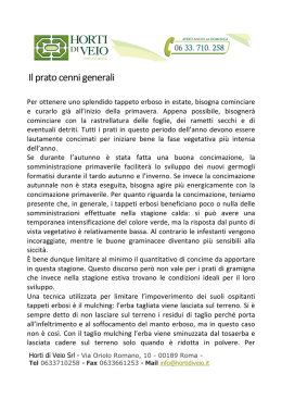 Il prato cenni generali